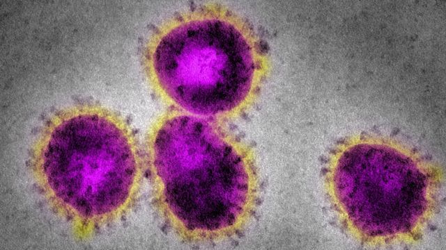 coronavirus