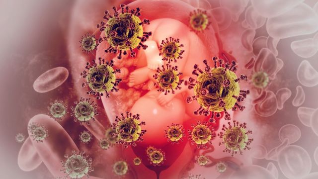 Ilustración de un feto y moléculas de virus