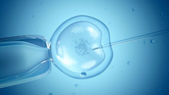 Ilustración de una fertilización in vitro