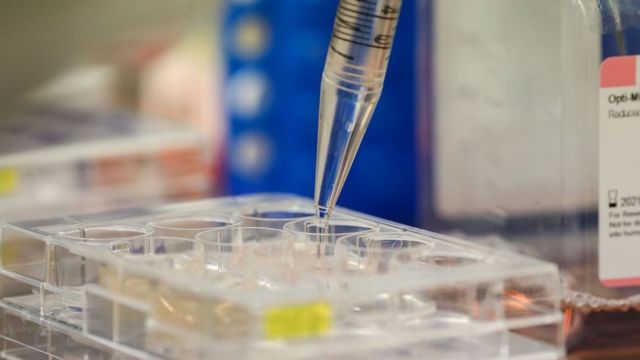 laboratorio
