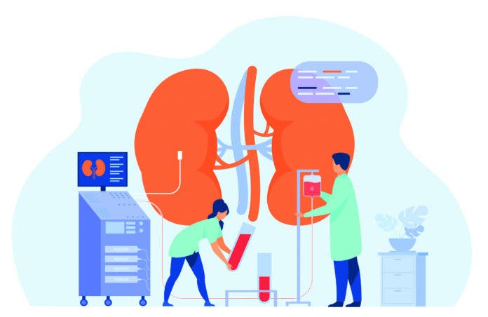 Trasplante renal