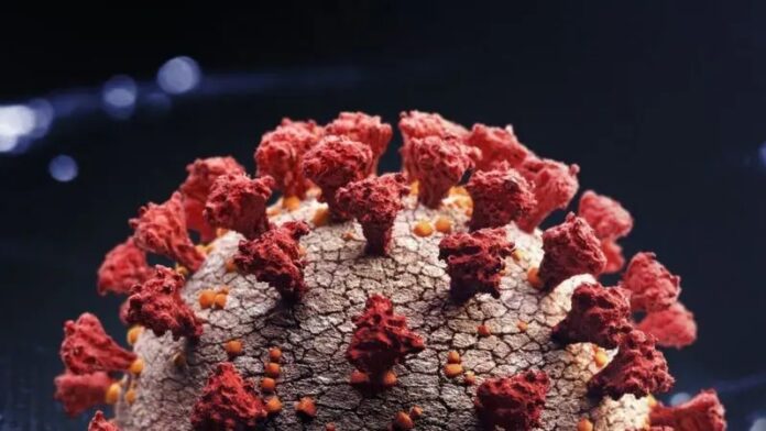 Por qué causa preocupación la variante del coronavirus altamente mutada hallada en Sudáfrica