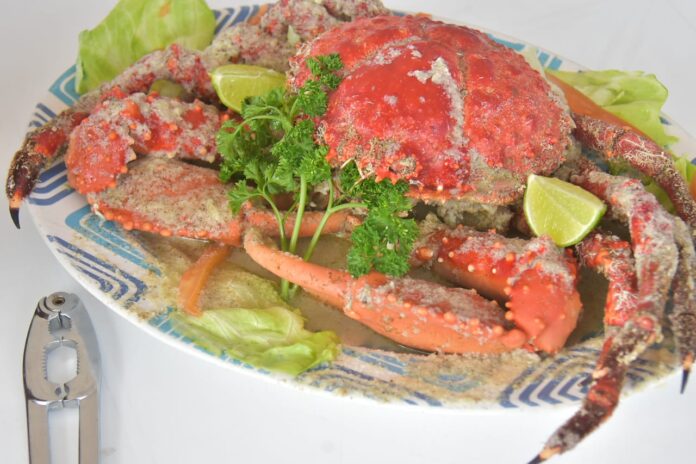 Realizan primer «Festival Gastronómico del Pescado y Mariscos» en Maimón