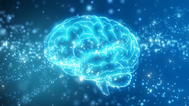 Ilustración de un cerebro