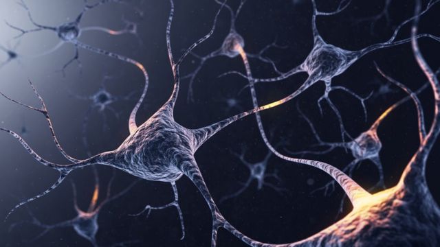 Neuronas