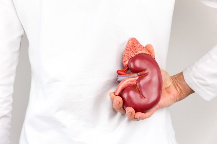 Día Mundial del Cáncer de Riñón