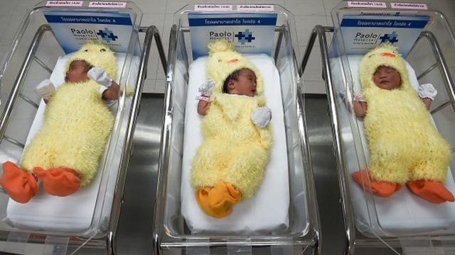 Bebés
