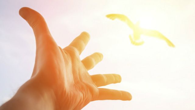 Pensamientos positivos