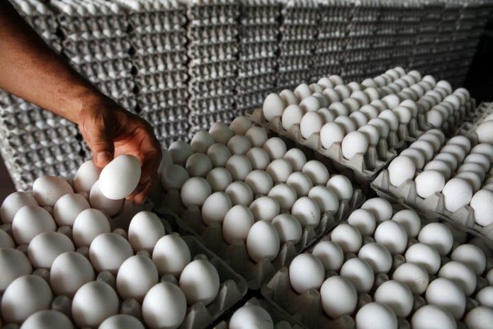 Gobierno ha comprado 10 millones de huevos a productores afectados por cierre frontera