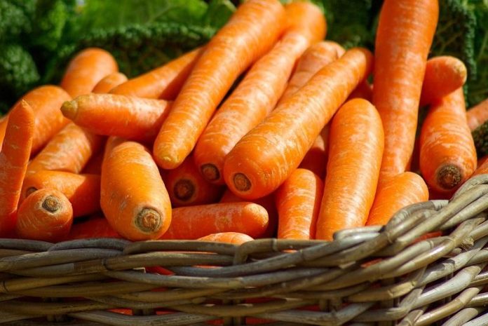 Zanahoria: aporte fundamental diario de vitamina A