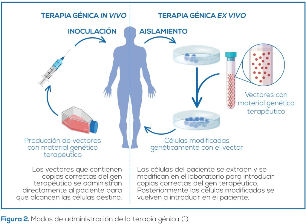 terapia génica enfermedades