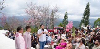 Ministro de Cultura participa en el Festival del Cerezo en San José de Ocoa