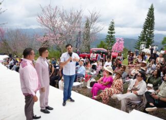 Ministro de Cultura participa en el Festival del Cerezo en San José de Ocoa