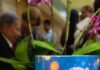 Ponen en circulación el libro “Tu Salud Mental”, una propuesta integral del Dr. Julio Ravelo Astacio