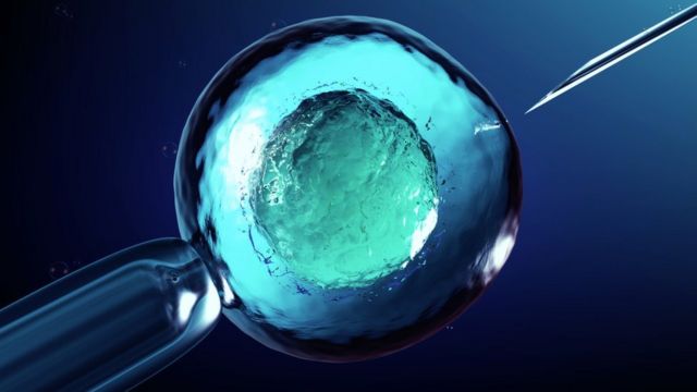 Imagen de una inseminación artificial.