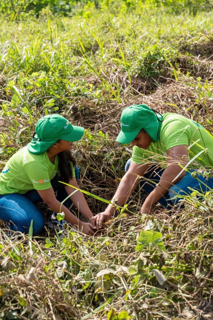 Reforestando en Villa Altagracia