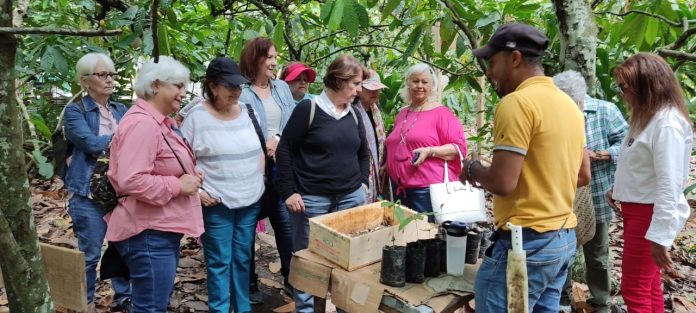 Experiencia del Cacao en Rancho Don Lulú