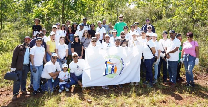 Voluntariado Bancentraliano reforesta